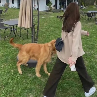 爱眼杀手